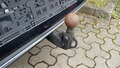 View of trailer tow-bar hitch