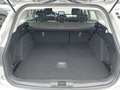 View of boot / luggage space