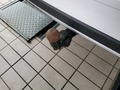 Detailfoto