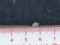 Detailfoto
