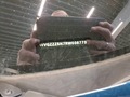 Detailfoto