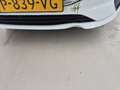 Detailní foto