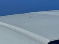 Detailní foto