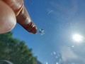 Detailní foto