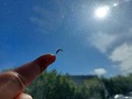 Detailní foto