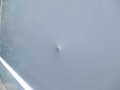 Detailní foto