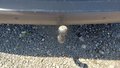 View of trailer tow-bar hitch