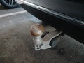 View of trailer tow-bar hitch