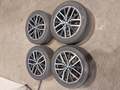 Üksikasjalik foto