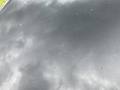 Detailfoto