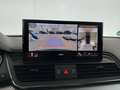 Szczegółowe zdjęcie