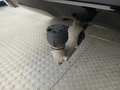 View of trailer tow-bar hitch