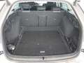 View of boot / luggage space