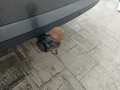 View of trailer tow-bar hitch
