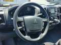 Üksikasjalik foto