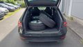 View of boot / luggage space