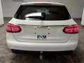 Rear view