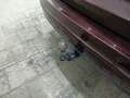 View of trailer tow-bar hitch