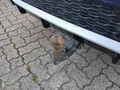 View of trailer tow-bar hitch