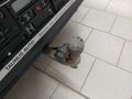 View of trailer tow-bar hitch