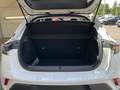View of boot / luggage space