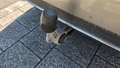 View of trailer tow-bar hitch