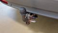 View of trailer tow-bar hitch