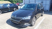 Pogled levo spredaj