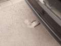 View of trailer tow-bar hitch