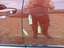 Drzwi lewe tylne