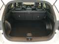 View of boot / luggage space