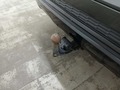 View of trailer tow-bar hitch