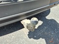 View of trailer tow-bar hitch