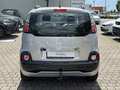 Rear view