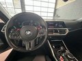 View of steering wheel