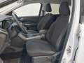 View of front seats