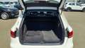 View of boot / luggage space