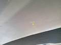 Detailní foto