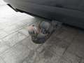 View of trailer tow-bar hitch