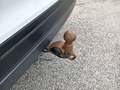 View of trailer tow-bar hitch