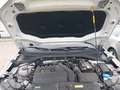 Vue du compartiment moteur