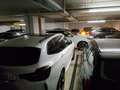 Podrobna fotografija