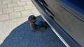 View of trailer tow-bar hitch