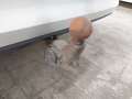 View of trailer tow-bar hitch