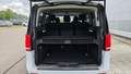 View of boot / luggage space