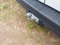 View of trailer tow-bar hitch