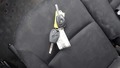 Ključ