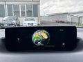 Vue Navigation