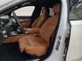 View of front seats