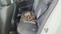 View of rear seat